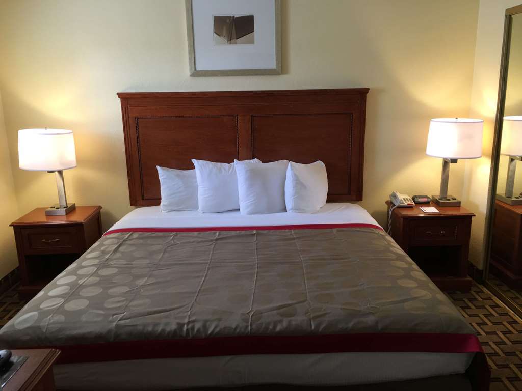 טמפה Apache Inn מראה חיצוני תמונה